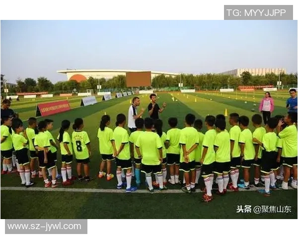 临澧县足球明星盘点及其在足球界的影响力分析